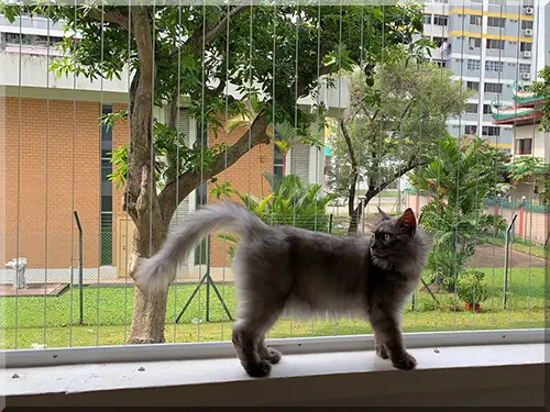 Child & Pet Safety Installations